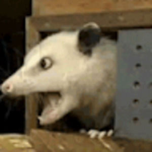 Meet your Posher, Ccc